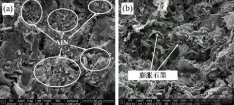 Figure 3. AlN (a) and expanded graphite (b) in magnesia-carbon bricks